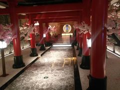 -蓝鲸湾汤泉(包河店)