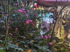 -鱼乐岛餐厅·户外花园主题餐厅
