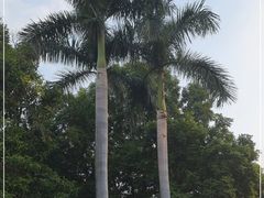 -广州市白云山风景名胜区