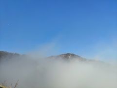 -大觉寺-停车场