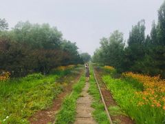 -永定河休闲森林公园