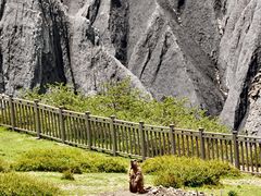 -墨石公园景区