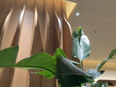 -Bco豆库(星耀天地店)