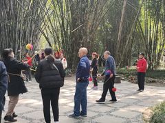 -望江楼公园