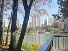 -四海公园(南山区)