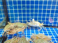 -碧海银沙海鲜餐厅(恒大海上威尼斯店)