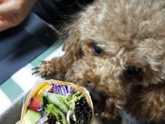 -BLT精品超市(国贸商城店)