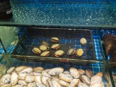 -烧货·活海鲜炭烧(湖滨商业街店)