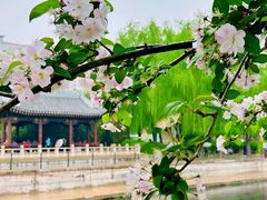-海棠花溪(元大都城垣遗址公园)