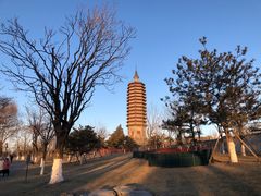 -西海子公园