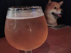 -海风酒吧 喝精酿 听民谣(阿那亚礼堂店)
