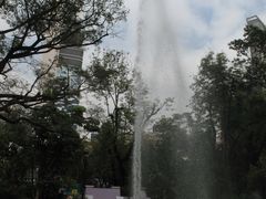 -九龙公园