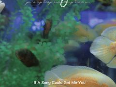 -洛阳龙门海洋馆