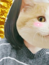 -99烫染