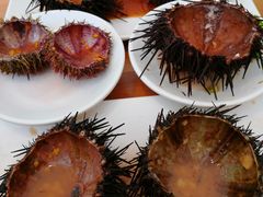 -海胆小馆(东北水饺·春柳店)