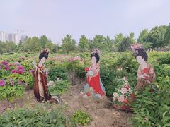 -曹州牡丹园