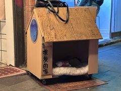 -羊羊鸡蛋仔(大学城店)