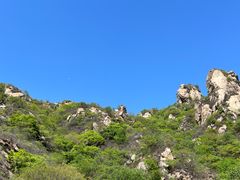 -大岭沟猕猴桃谷风景区