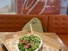 -油梨树 AVOCADO TREE(亮马桥店)