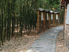 -同里国家湿地公园