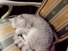 -不舍昼夜咖啡馆