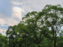 -绍兴古城