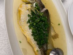 鸡汤蒸野化黄鱼-品海楼·大连海胆锅贴馆(东港店)