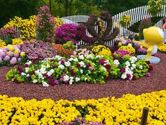 -上海共青森林公园