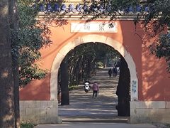 -灵谷景区