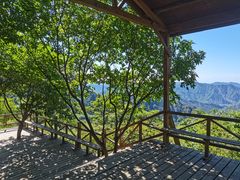 -大岭沟猕猴桃谷风景区
