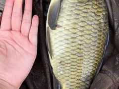 -酷鱼垂钓CLUB(朝阳区博大路店 )