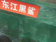 -天怡·鱼工厂(梅溪湖店)