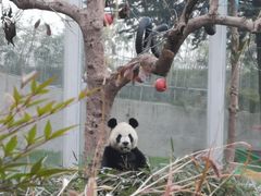 -西安秦岭野生动物园