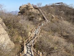 -大岭沟猕猴桃谷风景区