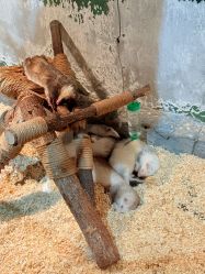 -Zoolung Zoolung动物主题公园(海信广场店)