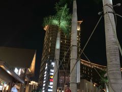 -三亚湾红树林度假世界(木棉酒店)