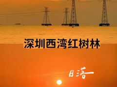 -宝安西湾红树林湿地公园