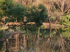 -上海滨江森林公园