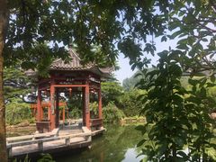 -广州神农草堂中医药博物馆