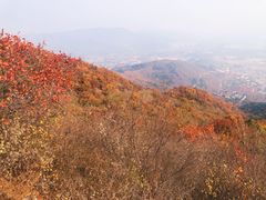 -北京西山国家森林公园