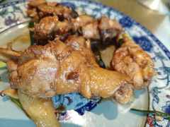 现杀果园鸡—黄焖鸡-生态苑农庄(十里画廊遇龙河店)