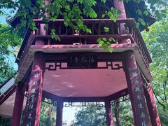 -房湖公园