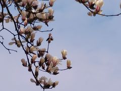 -西湖文化广场