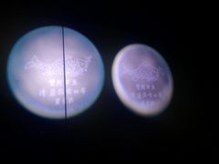 -白鹤梁水下博物馆