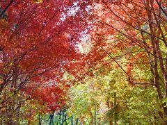 -长春市南湖公园