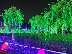 -北京鹿世界主题园