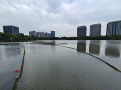 -南翔镇银翔湖公园