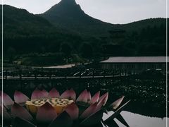 -帽儿山风景区