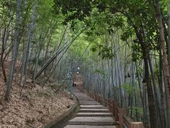 -敬亭山风景名胜区