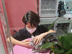 -FAELING PETS美天灵宠物(合生汇店)